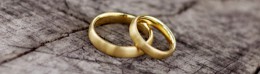 Wedding Rings 1
